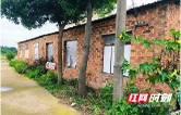 赫山区兰溪镇：绿色养殖赋能乡村振兴 探索产业发展新路径